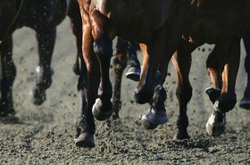 GettyImages-51948795.jpg