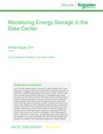 Schneider Monetize Energy.JPG